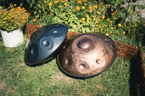 Zwei Handpans auf Gras, umgeben von Blumen.